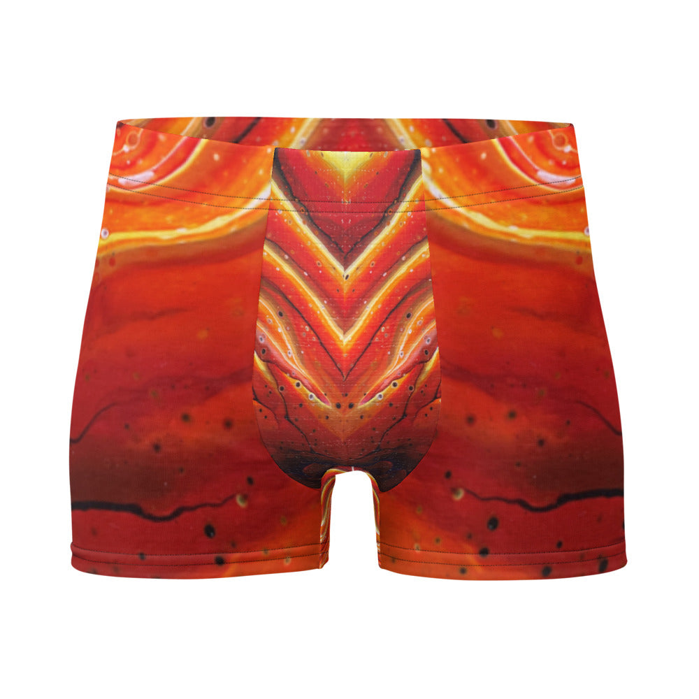 Ziggy Art Designs Exclusive design Boxer Briefs