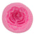 3D Rose Bloom Silicone Mold